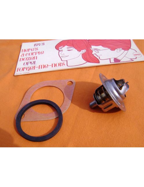 Special Thermostat 71° Carburator
