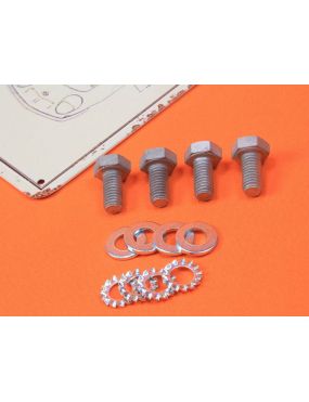 Opel GT screw set hood to...